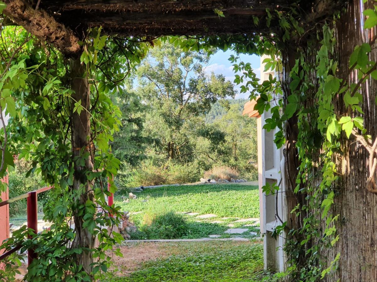 Casa Rural El Retiro, Rural Loft Buenache de la Sierra 外观 照片